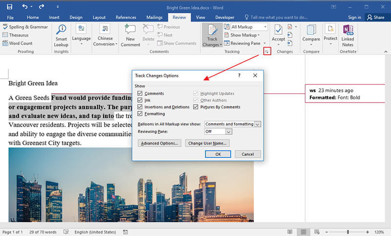 get rid of editing notation in word for mac